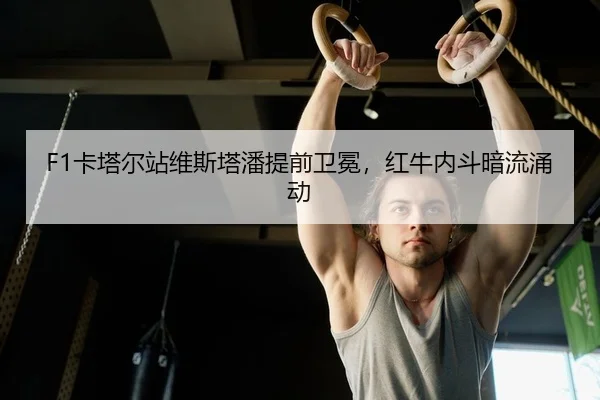 F1卡塔尔站维斯塔潘提前卫冕，红牛内斗暗流涌动